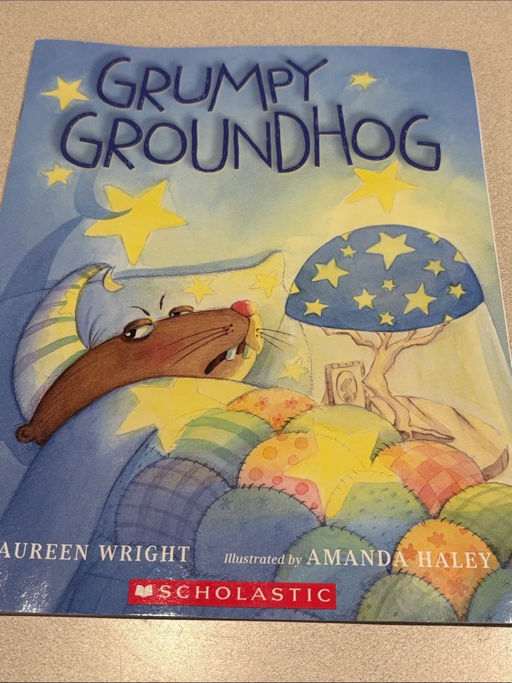 Lot of Scholastic Children’s Books (new condition)